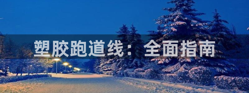 尊龙凯时网娱乐最新版下载：塑胶跑道线：全面指南