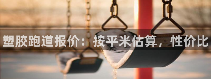 尊龙500价格：塑胶跑道报价：按平米估算，性价比