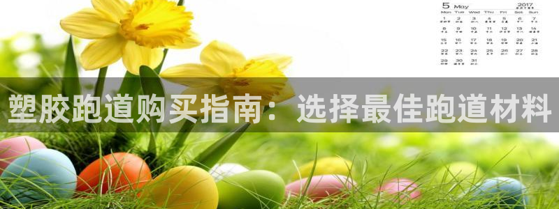 尊龙凯时贴吧：塑胶跑道购买指南：选择最佳跑道材料
