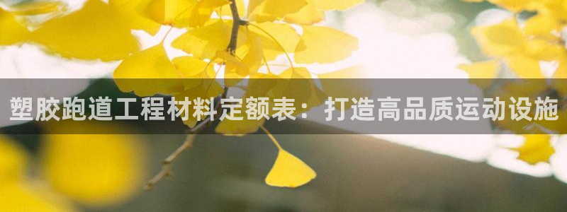 尊龙凯时app官网：塑胶跑道工程材料定额表：打造高品