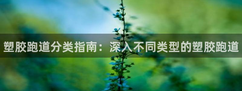 凯时官网app下载官方网站：塑胶跑道分类指南：深入不同类型的塑胶跑道