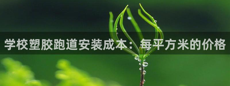 尊龙凯时凯发官网：学校塑胶跑道安装成本：每平方米的价