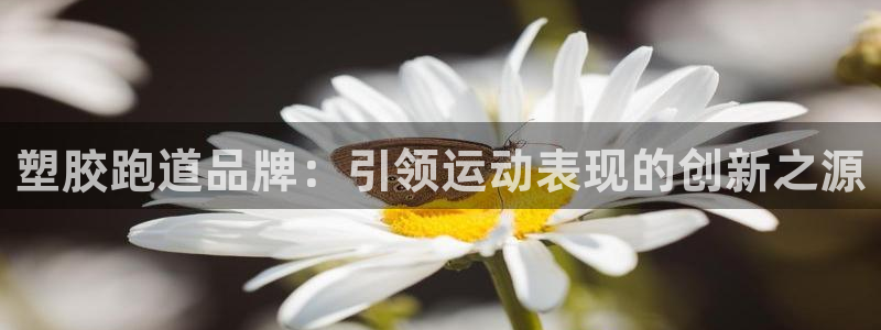尊龙d88用现推选ag发财网：塑胶跑道品牌：引领运动