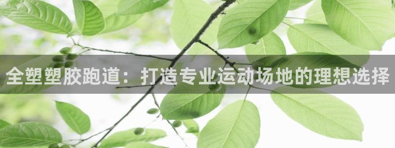 尊龙官方网址：全塑塑胶跑道：打造专业运动场地的理想选择
