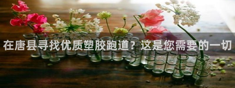 凯时官网app下载官方网站：在唐县寻找优质塑胶跑道？