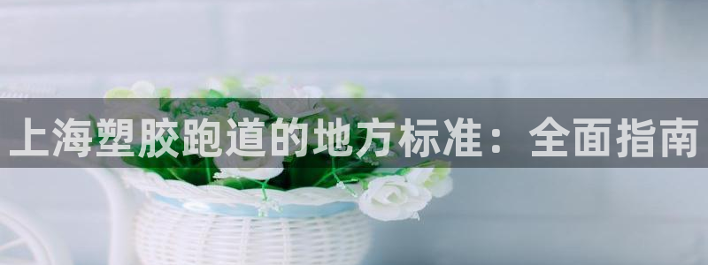 尊龙凯时为什么不封：上海塑胶跑道的地方标准：全面指南