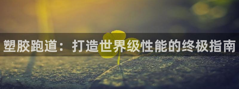 尊龙一人生就是搏：塑胶跑道：打造世界级性能的终极指南