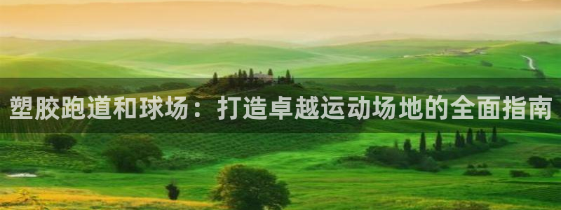 尊龙凯时是直营吗：塑胶跑道和球场：打造卓越运动场地的全面指南