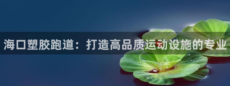 尊龙 am i blue：海口塑胶跑道：打造高品质运动设施的专业