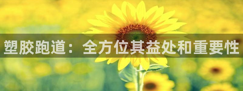 尊龙coming to my own：塑胶跑道：全方位其益处和重要性