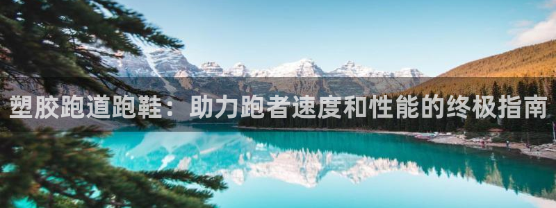 尊龙d88现金可来就送38：塑胶跑道跑鞋：助力跑者速