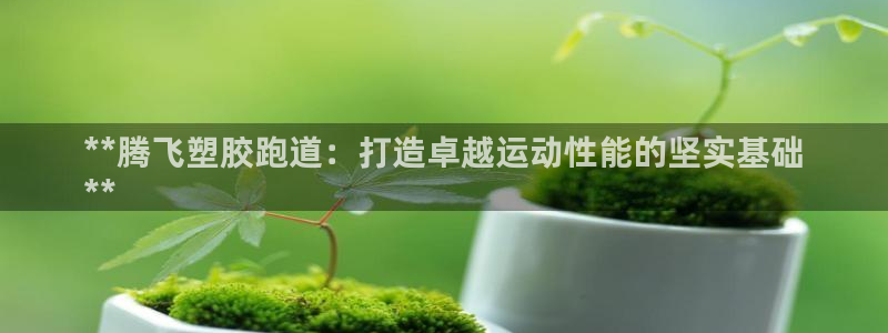 z6com尊龙凯时：**腾飞塑胶跑道：打造卓越运动性能的坚实基础
**