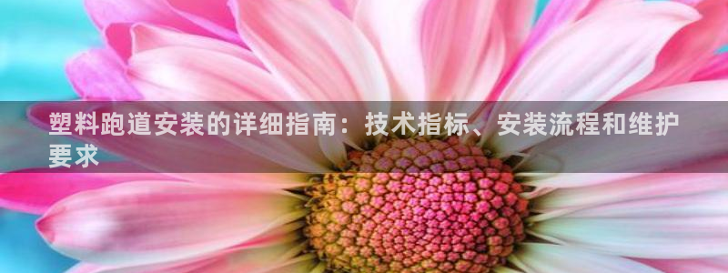 尊龙AG发财网：塑料跑道安装的详细指南：技术指标、安装流程和维护
要求
