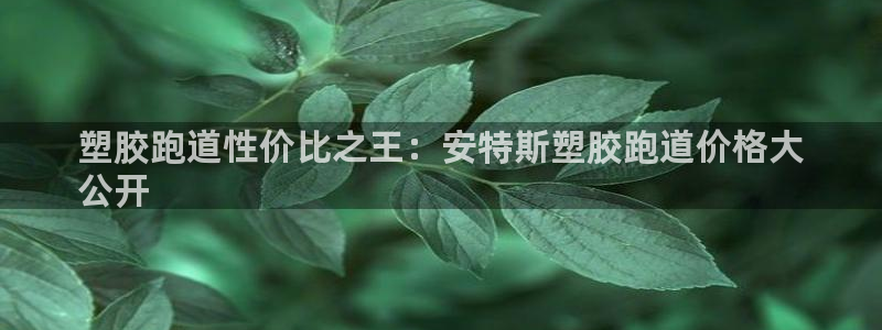 尊龙凯时开发：塑胶跑道性价比之王：安特斯塑胶跑道价格