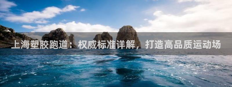 尊龙百度百科：上海塑胶跑道：权威标准详解，打造高品质运动场
