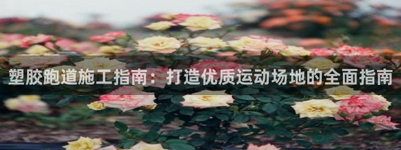 尊龙凯时导航菜单首页：塑胶跑道施工指南：打造优质运动