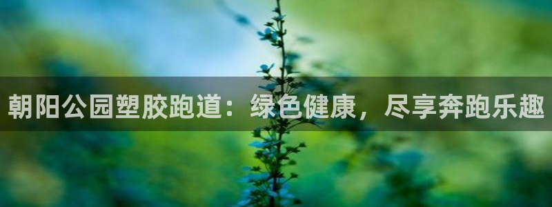 尊龙凯时人生就是搏平台：朝阳公园塑胶跑道：绿色健康，尽享奔跑乐趣