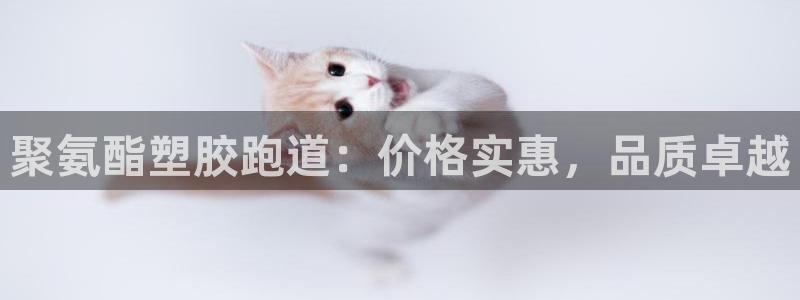 尊龙凯时百万奖池：聚氨酯塑胶跑道：价格实惠，品质卓越