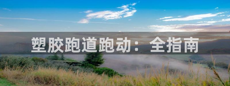 AG尊龙凯时注册：塑胶跑道跑动：全指南