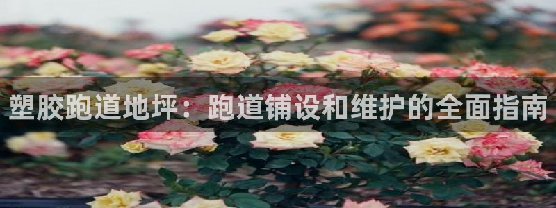 d88尊龙z6：塑胶跑道地坪：跑道铺设和维护的全面指