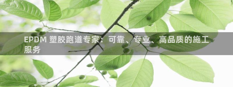 尊龙2016：EPDM 塑胶跑道专家：可靠、专业、高