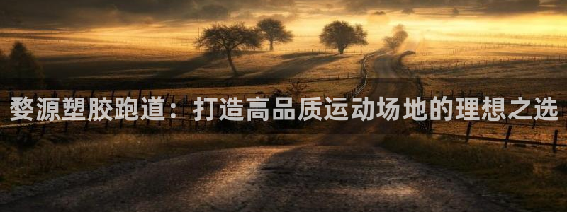尊龙旗舰厅：婺源塑胶跑道：打造高品质运动场地的理想之选