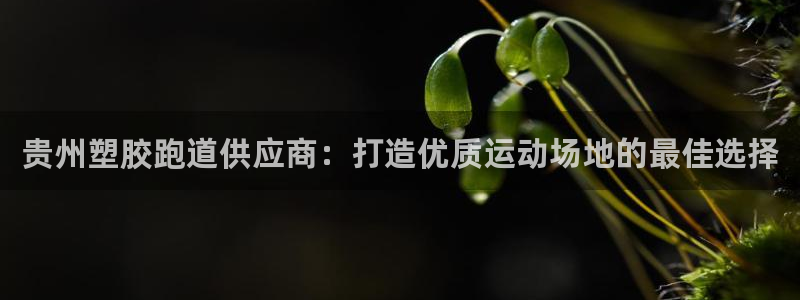 尊龙凯时游戏厅：贵州塑胶跑道供应商：打造优质运动场地的最佳选择