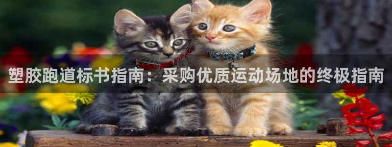 尊龙凯时白家乐Abb下载：塑胶跑道标书指南：采购优质