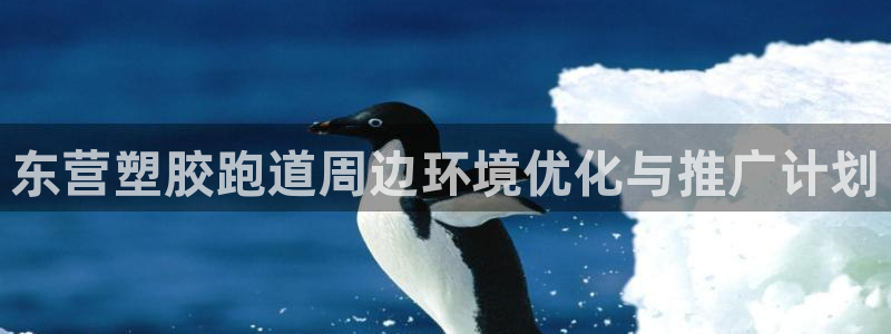 凯时国际最新
