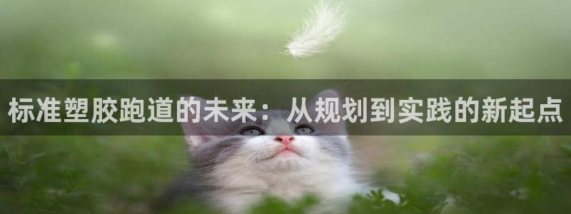 z6com尊龙凯时代理