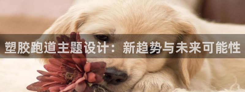 尊龙凯时产品系列