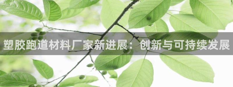 尊龙凯时官方下载