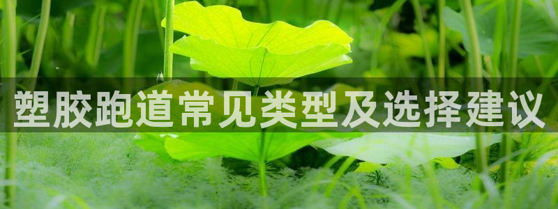 尊龙凯时平台还是万搏好