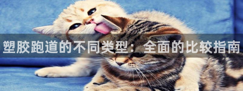 d88尊龙手机登录下载：塑胶跑道的不同类型：全面的比较指南