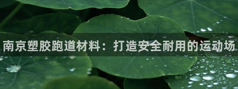 尊龙凯时防屏蔽网址：南京塑胶跑道材料：打造安全耐用的运动场