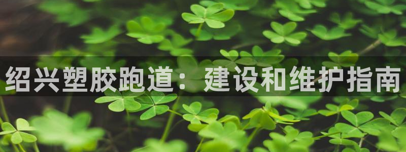 尊龙人生就是博登录准认来就送38：绍兴塑胶跑道：建设和维护指
