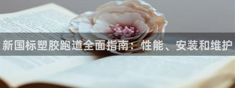 尊龙ag旗舰厅官网登录：新国标塑胶跑道全面指南：性能、安装和